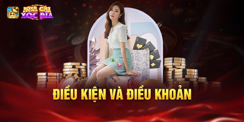 Điều kiện điều khoản 