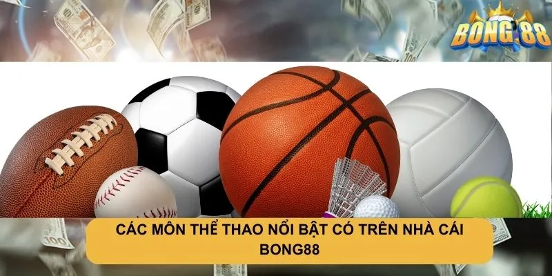 Các môn thể thao nổi bật tại bong88